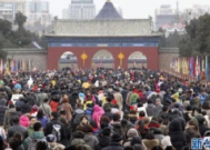 春节假期北京全市公园接待游客近万人次