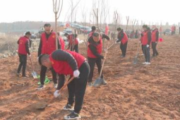 植树热潮席卷齐鲁大地披上新绿装