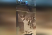 男子翻越护栏跳入秦兵马俑一号坑遭依法处罚