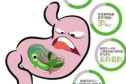 专家建议根除幽门螺杆菌以降低胃癌风险