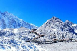 五一去哪儿攀登华山有外挂雪山杜鹃醉春光