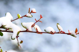 春分时节捂对部位更健康春捂牢记这三点