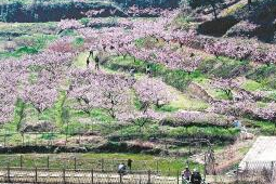 抢不到不会用消费券适老化改造势在必行