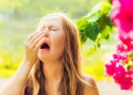 春季花粉过敏困扰市民生活需重视