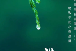 小满节气养生保健与疾病防治专家解答