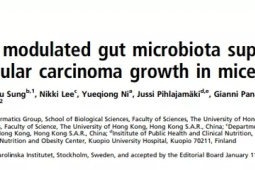 香港大学研究团队开发突破性癌症免疫新疗法