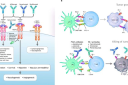 肝癌治疗新突破毫米精准围剿技术带来希望
