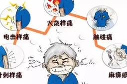 气得肝疼其实是哪里在疼