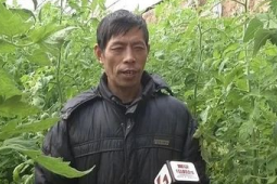 山西高平村民搬迁新居发展蔬菜产业走上致富路