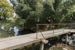 浙江古镇文物守护者用心护航梦里水乡慢时光