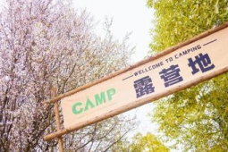 国产电影带动文旅热潮春日旅游解锁新玩法