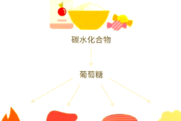 躺进高科技人体能量舱就能消除结节降血压