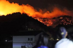 山西壶关山火火情已基本得到控制