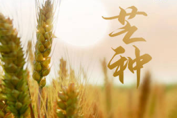 明日芒种养生攻略吃对四样忌做三事