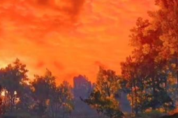 一路生花缘何全球生花唱作人揭秘创作背后的故事