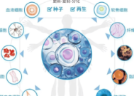 中国首例自体干细胞疗法成功助力帕金森病患者全天自主行走