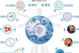 中国首例自体干细胞疗法成功助力帕金森病患者全天自主行走