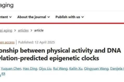 运动加速还是延缓衰老真相揭秘我们被骗多年