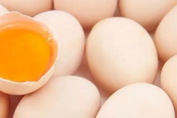 无菌蛋真的是智商税吗鸡蛋选购最全避坑指南