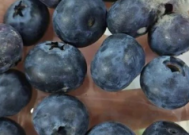 蓝莓有霉菌吃前注意查看它的肚脐眼