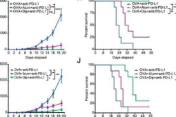 中国团队研发新型疫苗佐剂为恶性肿瘤治疗提供突破性利器