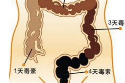 肠道健康看排便时间