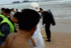 夏天海边看到这个立刻跑别用手碰