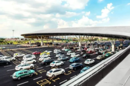 春节假期广东水路客运量突破万人次