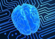 人工智能赋能阿尔茨海默症早筛助力科学早期干预