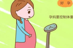 一天中四个易发胖时段的科学饮食指南