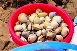 五一假期首日全国大部天气晴好北方多风需防风防火