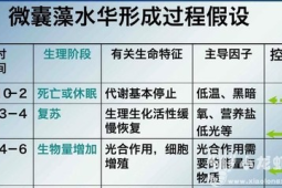 "代谢休眠才是你瘦不下来的隐形杀手"