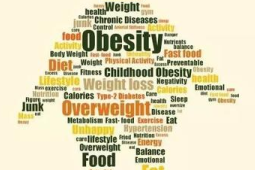 远离脂肪肝的四个关键方法