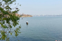 乙巳蛇年新春第一爆CP组合缘何走红网络