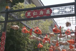 海内外青年创客聚首扬州古运河畔共绘文旅融合新图景