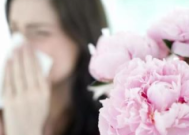 春季花粉过敏高发专家提醒感冒药抗过敏药勿同服