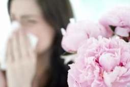 春季花粉过敏高发专家提醒感冒药抗过敏药勿同服