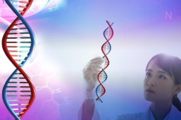 中国科学家联合破解细胞膜脆弱密码