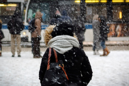 风雪回家路出行攻略驾车走路骑车注意事项全解析
