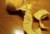 橘子皮变蓝就是发霉了吗