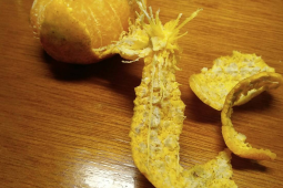 橘子皮变蓝就是发霉了吗