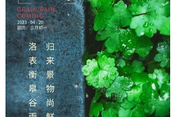 今日谷雨春雨绵绵出行注意安全