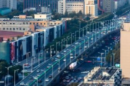 京津冀地区进入杨絮始飞期科学防护指南