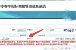 北京公布今年上半年小客车指标资格审核结果