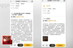 免费送猫背后的天价陷阱揭秘