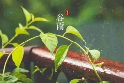 明日谷雨节气将至专家提醒春捂有度保健康