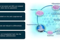 渐冻症靶向治疗临床应用取得重大突破