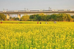 长三角春游首趟赏花旅游列车从上海启程