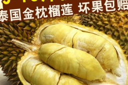 斤榴莲斤核买金枕当心甲仑