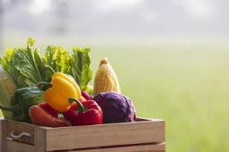 注意即食沙拉鲜切果盘保质期官方发布果蔬产品选购指南